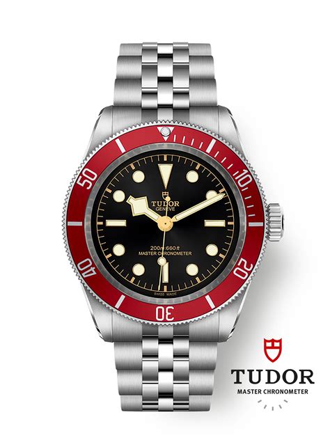 Tudor: Black Bay 